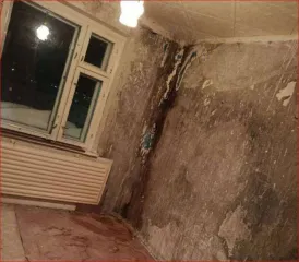 Доля квартиры 66,2 кв.м, Республика Коми 1/5 доля квартиры в Коми еще 1/5 доля квартиры в Коми еще 1/5 доля в праве на жилое помещение, площадь: 66,2кв.м., адрес (местонахождение): Российская Федерация, Республика Коми, Муниципальный район Печора, г.п. Печора, г. Печора, ул. Строительная, д. 20 к…