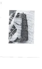 ВАЗ 21101 2004 года, госномер Х540СР72, цвет сине-зеленый, VIN XTA21101050832484. Имеются ограничения ФССП. Продается в том виде, в каком есть, возврату и обмену не подлежит. За скрытые дефекты ответственности продавец не несет.