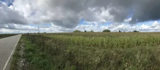 Земельный участок - 100 000 +/- 2 767 кв. м, кадастровый номер 33:05:024102:469, земли сельскохозяйственного назначения - для сельскохозяйственного производства, 
Ограничения и обременения: постановление Губернатора Владимирской области от 12.04.2010 № 433 «Об утверждении границ зон охраны…