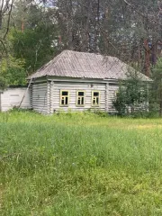 Нежилые здания общей площадью 1927.4 м², расположенные по адресу: Пензенская область, Кузнецкий район, село Тихменево, о/л «Спутник». В состав входят: дом-клуб, дом № 5, дом трехкомнатный полносборный, дом № 7, дом-склад, дом № 8, дом № 9, прачечная-душевая, дом сторожа, столовая, дом – медпункт…