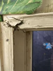 Грузовой автомобиль Scania 2015 года выпуска.