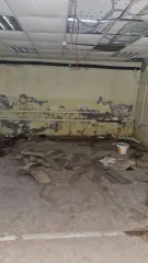 Подвал 292.6 кв.м, Великий Новгород. Нежилое помещение общей площадью 292,6 кв.м, расположенное по адресу: Новгородская область, г. Великий Новгород, ул. Ильина, д.10/13. Помещение расположено в подвале многоквартирного жилого дома 1956 года постройки. Год ввода в эксплуатацию: 1956. Вид…