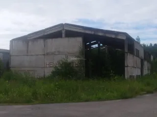 С/х комплекс и недвижимость в Лодейнопольском р-не, Ленинградская область. Имущество по адресу: ЛО, Лодейнопольский р-н: Квартира, 41,7 кв. м; Земельные участки общей площадью 1 366 073 кв. м; Строения: силосная траншея, картофелехранилище, 2 сенохранилища, телятник, откормочная свиноферма и другие…