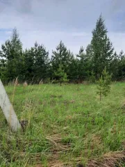 Земельный участок, площадь 700 +/  9 кв.м., назначение: Земли населенных пунктов, адрес  местонахождение : Россия, Респ Удмуртская, р н Завьяловский, д Старые Кены, ул Сарапульская, кадастровый  условный  номер: 18:08:044001:7576, вид собственности: совместная.