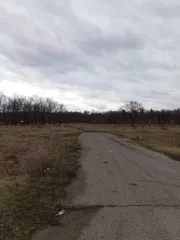 Земельный участок, Кадастровый номер: 73:14:011201:537, Площадь: 293141 +/  4737 кв.м., Назначение объекта недвижимости: данные отсутствуют, Виды разрешенного использования объекта недвижимости: Для сельскохозяйственного производства, Адрес: Ульяновская область, Сенгилеевский район, в 100 метрах по…