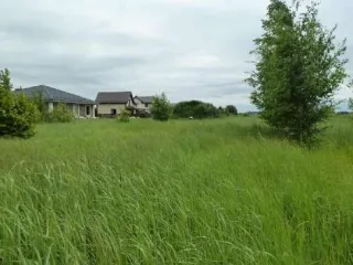 Земельный участок, кадастровый номер 53:11:0300105:3796, адрес: Новгородская обл., Новгородский муниципальный р-н, Савинское с/п, пос. Волховец