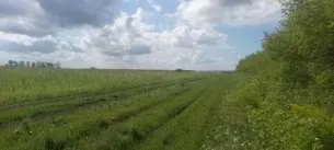 Право долгосрочной аренды земельного участка площадью 1 943 853 кв.м, кадастровый номер: 02:47:121101:10, адрес: Местоположение установлено относительно ориентира, расположенного в границах участка. Почтовый адрес ориентира: Республика Башкортостан, р-н. Уфимский, с/с. Николаевский. Имеются…