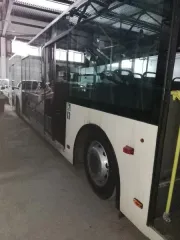 РоАЗ (RoAZ) 5236, 2011, автобус, бренд RoAZ, модель 5236, 2011 г.в., номер двигателя BF6M1013FC, 10999264, кузов (кабина, прицеп) № Z7T5236ADBA000075, VIN Z7T5236ADBA000075, цвет кузова (кабины, прицепа) Бежевый. Модель автобуса: РоАЗ 5236. Объем двигателя: 7146. Наличие ПТС транспортного средства…