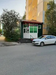 Торговый павильон, 58,1 кв.м, Ямало-Ненецкий АО. Нежилое помещение (3/16 доли в праве общей долевой собственности), кадастровый номер: 89:12:110610:834, адрес: ЯНАО, г. Ноябрьск, мкр. Д-1, район дома по ул. Республике, д. 49А.