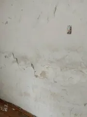 1/2 доля квартиры и 1/2 доля земельного участка в Пермском крае. 1/2 доля жилого дома, площадь 30,6 кв.м., назначение: жилое, количество этажей: 1, кадастровый номер: 59:05:0201001:475, адрес: Российская Федерация, край Пермский, м.о. Губахинский, рп Углеуральский, ул Ленина, д 108, кв. 1. 1/2…