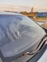 Chevrolet Captiva 2011, транспортное средство – легковой автомобиль, марка/модель – ШЕВРОЛЕ КАПТИВА, год выпуска – 2011, VIN – KLACD266DBB031121, гос.номер - Р837АУ125