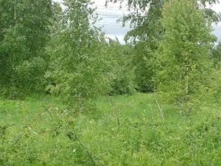 Земельный участок, 1726 кв.м, ИЖС, Московская область, Сергиев Посад, мкр. Семхоз. Заинтересованные в предоставлении земельного участка площадью 1726 кв.м для индивидуального жилищного строительства по адресу: Российская Федерация, Московская область, Сергиево-Посадский г.о., г. Сергиев Посад, мкр…