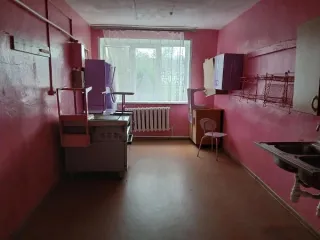 Нежилое помещение 141,7 кв.м. и нежилое помещение № 2 13,8 кв.м. Нижегородская область - нежилое помещение, общей площадью 141,7 кв.м., кадастровый номер 52:46:0060009:208; нежилое помещение № 2, общей площадью 13,8 кв.м., кадастровый номер 52:46:0060009:239, расположенные по адресу: Нижегородская…