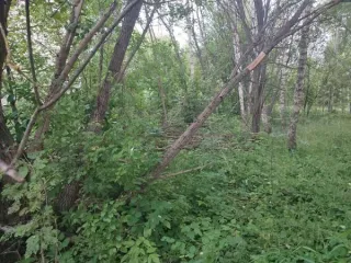 Аукцион в отношении земельного участка с КН: 50:33:0040166:615 Аукцион в отношении земельного участка с КН: 50:33:0040166:615 
Площадь земельного участка: 1150 
Кадастровый номер земельного участка: 50:33:0040166:615 
Основной вид разрешенного использования: 2.1 
