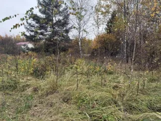 Земельный участок КН 50:24:0050701:507, 1443 кв.м аукцион в отношении земельного участка с КН 50:24:0050701:507 площадь земельного участка: 1443 кадастровый номер земельного участка: 50:24:0050701:507 основной вид разрешенного использования: 2.2