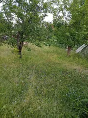 Земельный участок, 572 кв.м, СНТ "Оргстрой", линия 8, уч. 208, Ленинградская область, адрес: Ленинградская область, Волховский муниципальный район, Кисельнинское сельское поселение, массив Пупышево, СНТ "Оргстрой", линия 8, уч. 208, кадастровый номер 47:10:1339006:16.