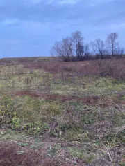 Земельный участок площадью 1335 кв.м (кадастровый номер 02:27:232001:389) для ведения личного подсобного хозяйства, категория земель: земли населенных пунктов. Адрес: 452275, Республика Башкортостан, Илишевский район, СП Yabalakovsky сельсовет, д. Илишево, ул. Школьная, д. 22. На момент публикации…