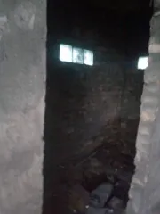 1/2 доли здания и земельного участка в СНТ "Электродчик" (24 кв.м и 447 кв.м), Челябинск, кадастровый (условный) номер 74:36:0109001:205, место нахождения: Россия, г. Челябинск, СНТ "Электродчик", уч. № 90, площадь 447 кв.м. и 1/2 доли в праве общей долевой собственности на нежилое здание, площадь…