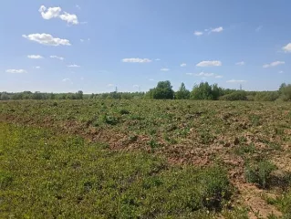 Продажа земельного участка, изъятого по суду, с адресным ориентиром: город Москва, вн.тер.г. муниципальный округ Краснопахорский, квартал 172, земельный участок 9 площадью 15 000 кв.м,  кадастровый номер: 50:27:0020331:96 Продажа земельного участка, изъятого по суду, с адресным ориентиром: город…