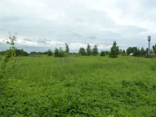 Земельный участок, кадастровый номер 53:11:0300105:3796, адрес: Новгородская обл., Новгородский муниципальный р-н, Савинское с/п, пос. Волховец