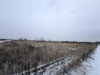 Земельный участок 600 кв.м в Московской области, городской округ Раменский, деревня Аргуново. Кадастровый номер: 50:23:0050573:1513. Площадь: 600 +/- 17 кв.м. Категория земель: сельскохозяйственного назначения. Вид разрешенного использования: для ведения садоводства.