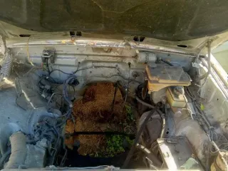 Toyota Crown, Nissan Elgrand, Toyota Corolla, GAZ 31105 1990, 1992 года выпуска. Проверка исправности имущества не проводилась. Товаросопроводительные документы не передавались. Погрузка и транспортировка имущества с места хранения осуществляется Покупателем силами Покупателя и за счет Покупателя…