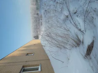 Здание, назначение нежилое, общей площадью 398,9 кв.м., этажность 2, адрес месторасположения: Омская область, г. Омск, пр-кт Космический, д. 21А. Кадастровый номер: 55:36:120302:4703. Земельный участок, категория земель: земли населенных пунктов, вид разрешенного использования: под строительство…