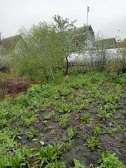 Земельный участок с кадастровым номером 55:36:150426:40, 512 кв.м., адрес: Омская область, г Омск, Центральный АО, СНТ Спектр, участок 232. Виды разрешенного использования объекта недвижимости: Садоводство. Особые отметки: Граница земельного участка не установлена в соответствии с требованиями…