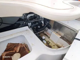 Катер Sea Ray 180BR маломерное судно катер SEA RAY 180BR, бортовой (идентификационный) номер Р70-00КЕ, строительный (заводской) номер: US-SERR6941A101