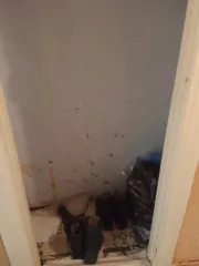 Жилой дом 43,5 кв.м. в Приморском крае, назначение: жилое, адрес (местонахождение): Россия, край Приморский, р-н Кавалеровский, п Рудный, ул Партизанская, дом 52, квартира 10, кадастровый (условный) номер: 25:04:110019:133 Находится в долевой собственности, размер доли: 1/7
