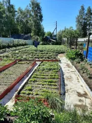 Земельный участок 764 кв.м., ХМАО-Югра. Категория земель: земли сельскохозяйственного назначения, разрешенное использование: под садоводство. Находится по адресу: Ханты-Мансийский автономный округ - Югра, р-н Нефтеюганский, урочище «Сингапайский остров», район КНС-7, СНТ «Энергетик», участок № 56…