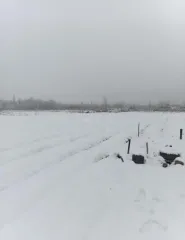 Земельный участок, 75697 кв.м, Краснодарский край, Белореченский район Земельный участок, площадью 75697 кв.м, Краснодарский край, Белореченский район - Земельный участок, площадь: 75 697 +/- 96,3 кв.м., категория земель: земли населенных пунктов, ВРИ: для размещения и эксплуатации производственных…