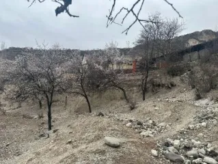 Нежилое здание 1071,33 кв.м, участок 22000 кв.м, Дагестан Кадастровый номер здания 05:35:000002:1861, земельного участка 05:35:000002:1186 Имущество расположено по адресу: РФ, Республика Дагестан, Унцукульский район, с. Унцукуль.