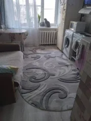 Квартира, 35,1 кв. м, 1/3 доли, с. Северцево, Ивановская область. Назначение: жилое, 5 этаж, общая площадь 35,1 кв. м, адрес объекта: Ивановская область, р-н. Приволжский, с. Северцево, д. 5, кв. 82. Кадастровый номер 37:13:033011:450. Общая долевая собственность, 1/3.