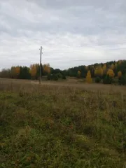 Земельный участок 60 000 кв.м, земли сельхозназначения, Пермский край, категория земель: земли сельскохозяйственного назначения, разрешенное использование: для сельскохозяйственного производства, общая площадь 60 000 кв.м. адрес (местоположение) объекта: Пермский край, р-н Чайковский, Сосновское…