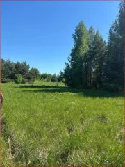 Земельный участок 600 кв.м в Нижегородской области, Городецкий район, Мошковский сельсовет, СНТ "Березка". Кадастровый номер: 52:15:0120401:388. Категория земель: сельскохозяйственного назначения. Вид разрешенного использования: садоводство.