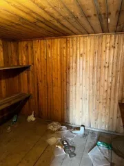 Навес на пандусе из металлоконструкций, сборно-разборный, литера Г1, площадь 196,5 кв.м.; 
Трансформаторная подстанция кирпичная капитальная и распределительный узел 0,4 кВ, №3017 ТР-Р РУ-04KV, литера Д, площадь 23,3 кв.м.; 
Гараж кирпичный капитальный, литера Е, площадь 61,5 кв.м…