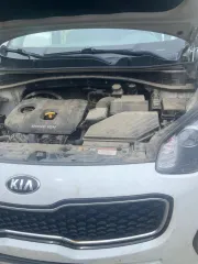 Kia Sportage, 2018. Легковой автомобиль марки Kia, модель Sportage, 2018 г.в., VIN-номер: XWEPH81ADJ0026323. Транспортное средство в залоге у ПАО «Совкомбанк». Заявки на ознакомление с имуществом принимаются в рабочие дни с 07.07.2026 г. и до дня окончания приема заявок с 09.00-12.00 часов по…