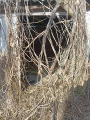 Доля 46/48 жилого дома, площадь 48.3 кв.м., назначение: жилое, адрес (местонахождение): Россия, Воронежская область, р-н Острогожский, х Дубовой, ул Зелёная аллея, 6, кадастровый (условный) номер: 36:19:1100001:88 и доля 46/48 земельного участка, площадь 4300 кв.м., назначение: Земли населенных…