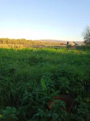 Земельный участок для ведения личного подсобного хозяйства площадью 5821 кв.м. Категория земель: земли населенных пунктов. Адрес (местонахождение): местоположение установлено относительно ориентира, расположенного в границах участка. Почтовый адрес ориентира: Республика Башкортостан, Архангельский…