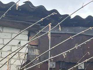Гаражи 27,3 кв.м с земельными участками 30 кв.м, Рязанская область. Гараж 27,3 кв.м. и земельный участок 30 кв.м. в Рязанской обл. еще Гараж 27,3 кв.м. и земельный участок 30 кв.м. в Рязанской обл. еще сооружение (гараж) по адресу: Рязанская обл., муниципальный округ Кадомский, рабочий поселок…