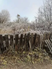 Земельный участок 257 кв.м, Марий Эл. Категория земель: земли населенных пунктов, разрешенное использование: для ведения садоводства, кадастровый номер: 12:16:0102001:1311, по адресу: Республика Марий Эл, г.Волжск, с/т «Илеть».