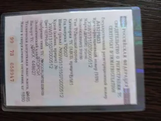 Derweiss 313150 2007 года выпуска, VIN X9W31315070000512, госномер А492РМ33