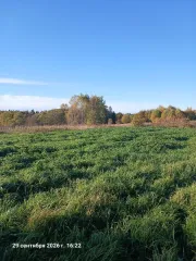 Земельный участок КН 50:06:0050502:1564 1650 кв м Московская область площадь земельного участка: 1650 кадастровый номер земельного участка: 50:06:0050502:1564 основной вид разрешенного использования: 2.1