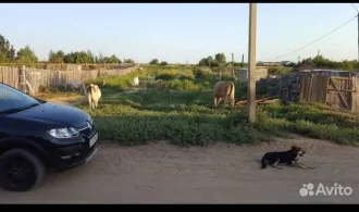 Земельный участок, площадь 1402 +/- 13 кв.м., назначение: жилое, адрес (местонахождение): 416101, Астраханская обл, Наримановский р-н, село Новокучергановка, ул Тукая, д 36, кадастровый (условный) номер: 30:08:120123:165. Ознакомление с имуществом производится по предварительному согласованию с…