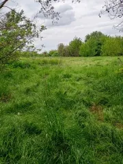 Земельный участок 2100 м², Краснодарский край, хутор Средние Челбасы, с кадастровым номером 23:11:0605003:485, площадь 2100, по адресу Российская Федерация, Краснодарский край, муниципальный район Каневской, сельское поселение Каневское, хутор Средние Челбасы, территория Победа, земельный участок…