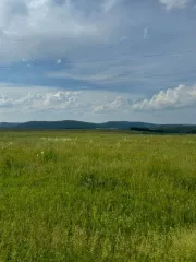 Земельный участок для ведения личного подсобного хозяйства. Кадастровый номер: 02:18:150201:31. Местоположение установлено относительно ориентира, расположенного в границах участка. Почтовый адрес ориентира: Республика Башкортостан, р-н. Бурзянский, с/с. Кулганинский, д. Саргая, ул. Башарт, д. 3…