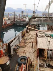 Рыболовное судно «Соколовка» (IMO 8924721) бортовой номер ВК0854 год постройки 1993, место постройки Сретенск.