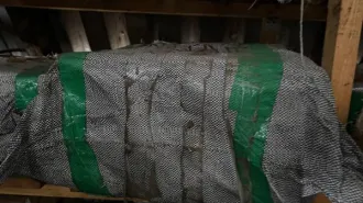 Isuzu части и принадлежности моторных транспортных средств. Тип запчасти: части и принадлежности моторных транспортных средств. Состояние: неизвестно. Производитель: Isuzu.