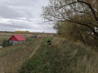 Право аренды земельного участка с кадастровым номером 64:19:080104:18 площадью 160 271 кв. м, расположенного по адресу: Саратовская область, Лысогорский район, в 1 км 375 м севернее села Чадаевка.